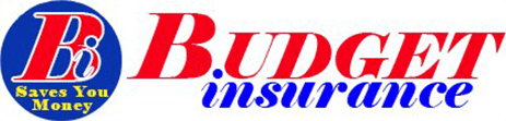 Budget Insurance Agency Logo