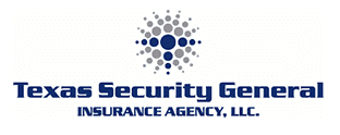 Texas Security Logo